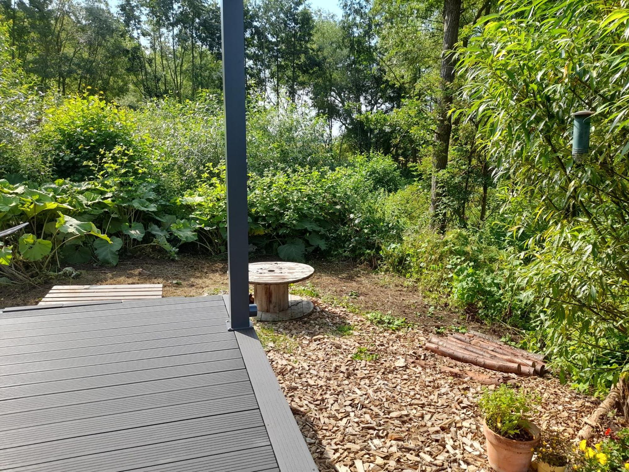 Villa Tiny House 14 - Sollberg Salzhemmendorf Exterior foto